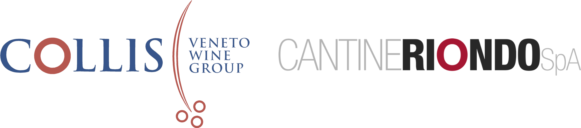 Supporto Collisgroup